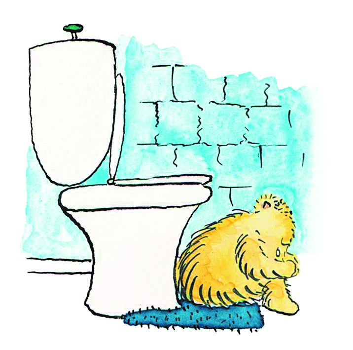 Baby Bear upset on the toilet floor